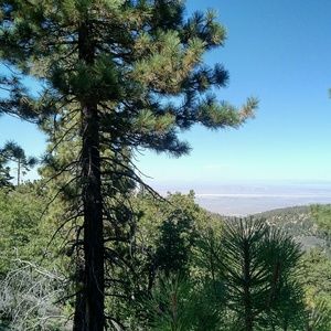 Meet your Posher, Debra